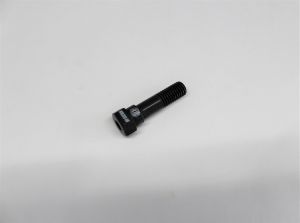 SWIVEL SHOCK MOUNT BOLT - WM-200-8B